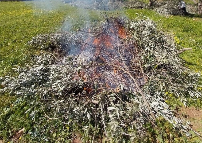 Τσουχτερό πρόστιμο σε Λαρισαίο για καύση υπολειμμάτων καλλιεργειών 